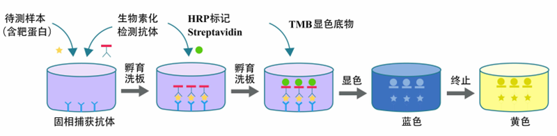 2_副本.png 2_副本.png
