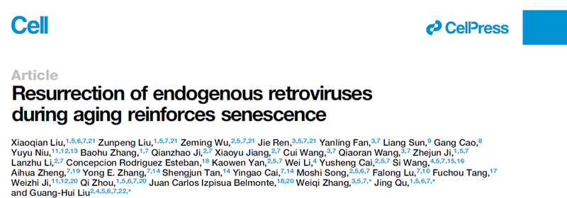 圖片1.png 圖片1.png