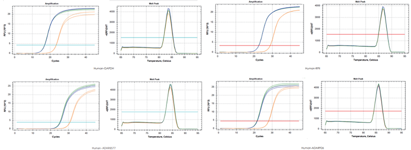 使用TransGen產(chǎn)品，以200 ng RNA、200 ng RNA+200 ng gDNA、200 ng gDNA為  模板進(jìn)行反轉(zhuǎn)錄后定量擴(kuò)增不同基因。結(jié)果表明，TransGen產(chǎn)品具有強(qiáng)的gDNA去除能力。