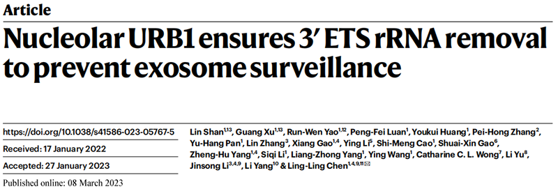 助力科研，全式金Trans1-T1化學(xué)感受態(tài)細(xì)胞榮登Nature