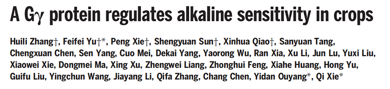 助力科研，全式金反轉(zhuǎn)錄和qPCR產(chǎn)品榮登Science