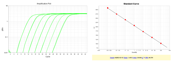 以梯度稀釋的質(zhì)粒DNA為模板，使用TransGen產(chǎn)品進行擴增。結(jié)果顯示，TransGen產(chǎn)品擴增效率高，可得到漂亮的擴增曲線和標準曲線。