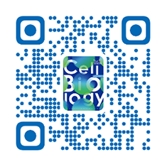 細(xì)胞生物學(xué)