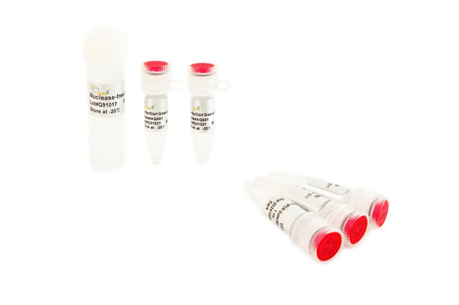 熱啟動系列熒光定量PCR試劑盒 熱啟動系列熒光定量PCR試劑盒