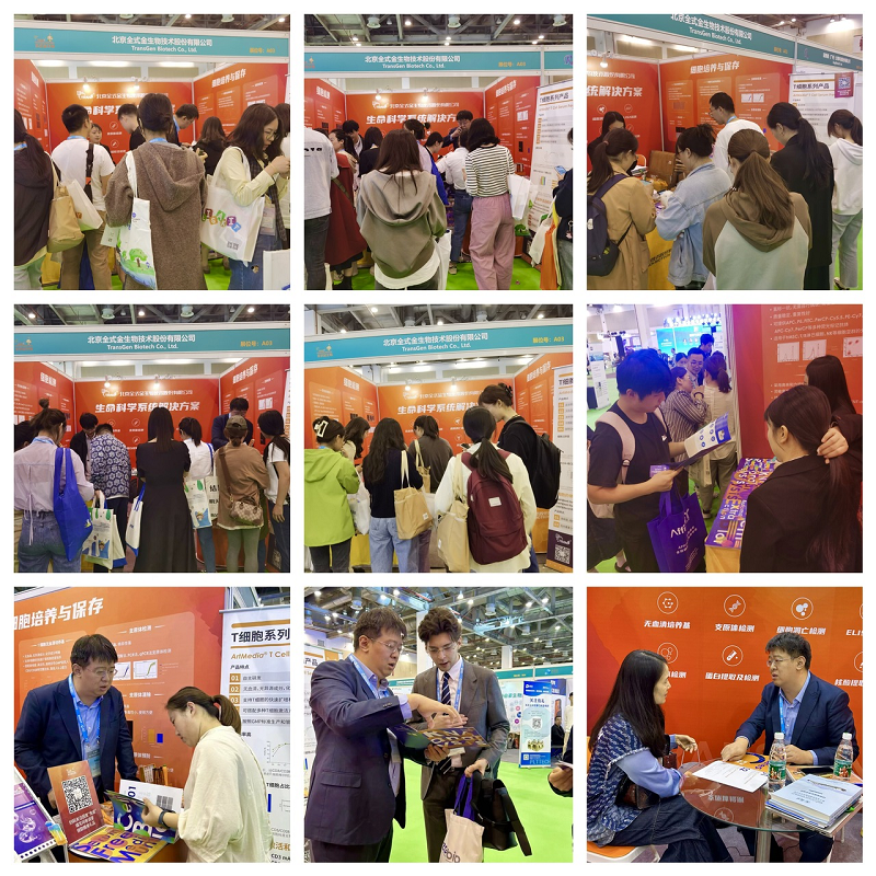 3調(diào)整后.png 3調(diào)整后.png