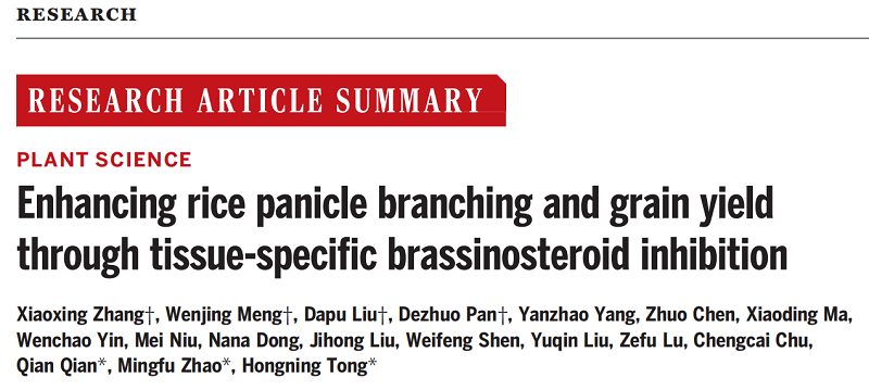 圖1修改后.png 圖1修改后.png