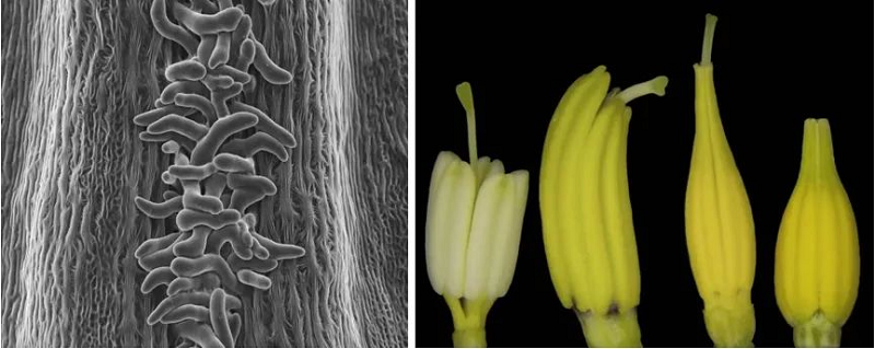 圖片2修改后.png 圖片2修改后.png