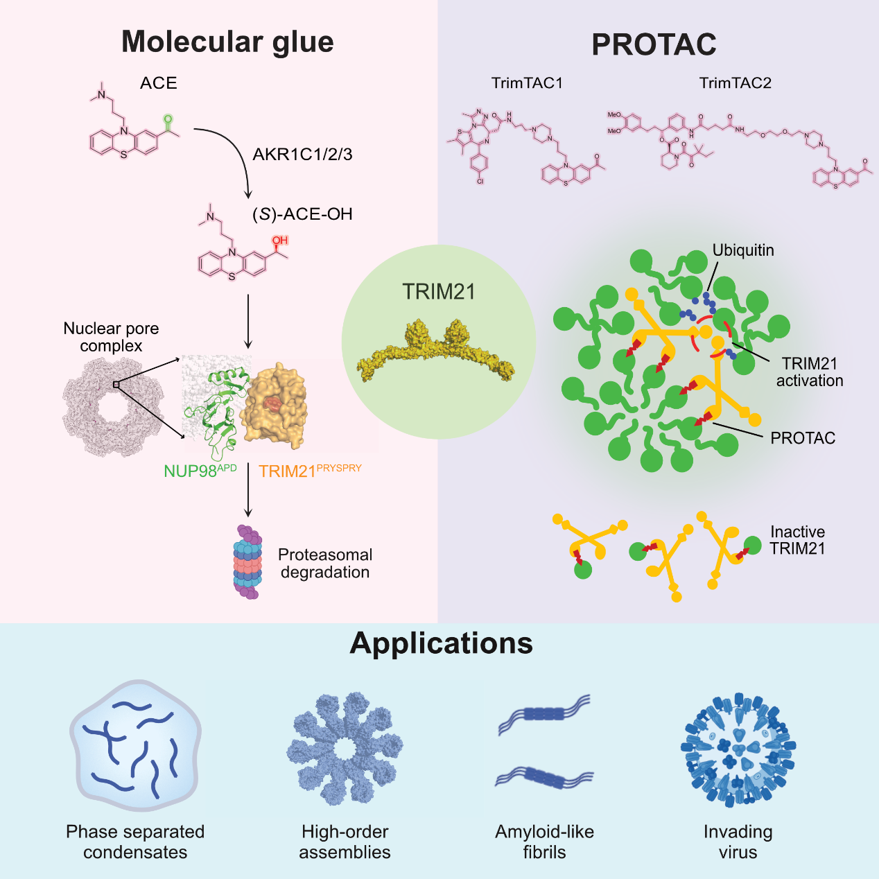 圖片2.png 圖片2.png