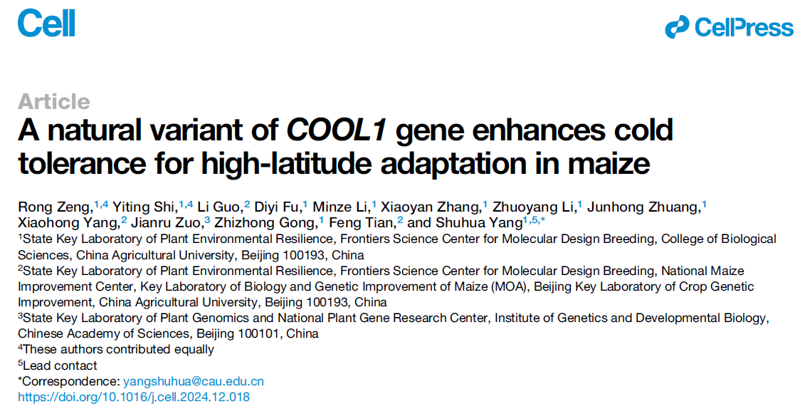A natural variant of COOL1 gene enhances cold tolerance for high latitude adaptation in maize A natural variant of COOL1 gene enhances cold tolerance for high latitude adaptation in maize