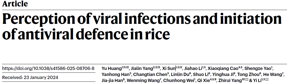 Perception of viral infections and initiation of antiviral defence in rice Perception of viral infections and initiation of antiviral defence in rice