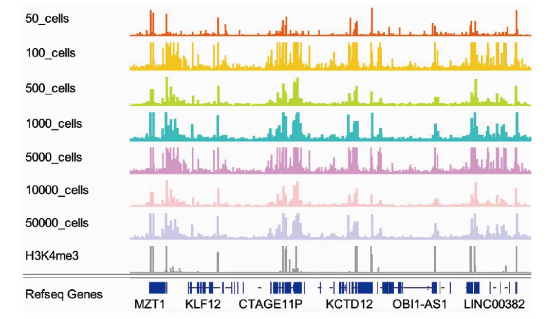 IGV 視圖 IGV 視圖