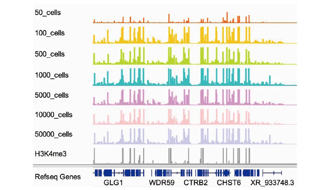 IGV 視圖 IGV 視圖