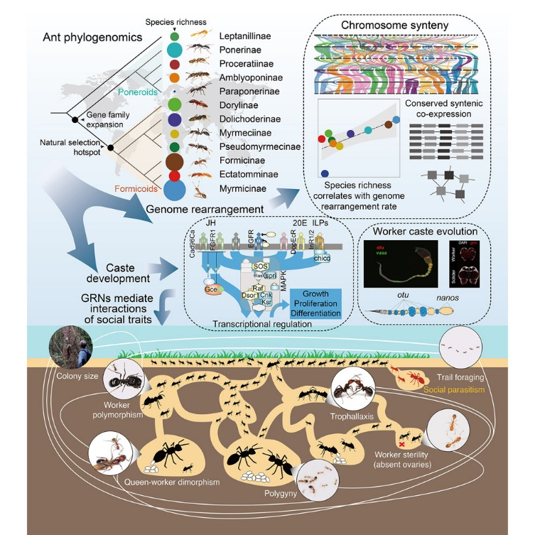 圖片1.png 圖片1.png