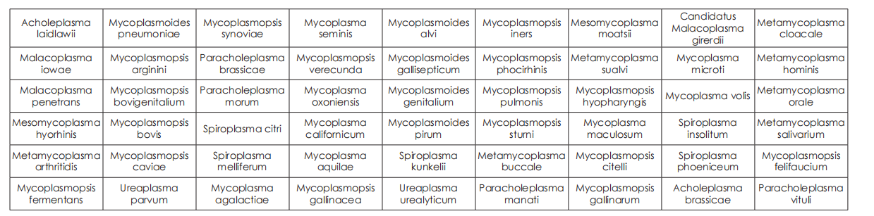 可檢測 54 種支原體