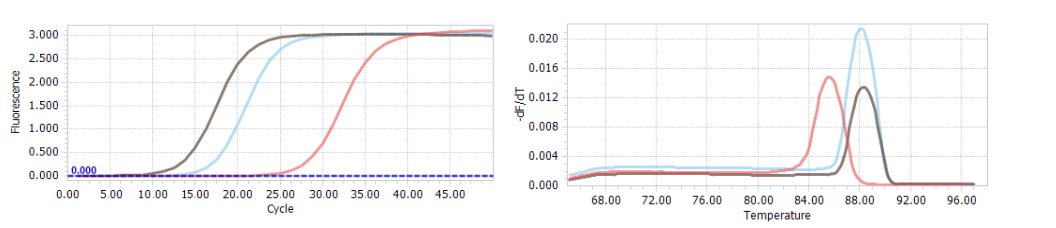 數(shù)據(jù)展示 數(shù)據(jù)展示