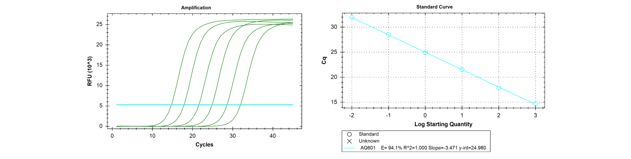擴(kuò)增效率高