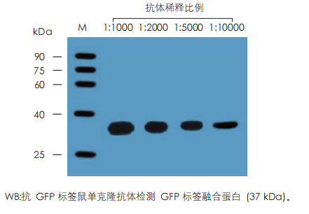 數(shù)據(jù)展示