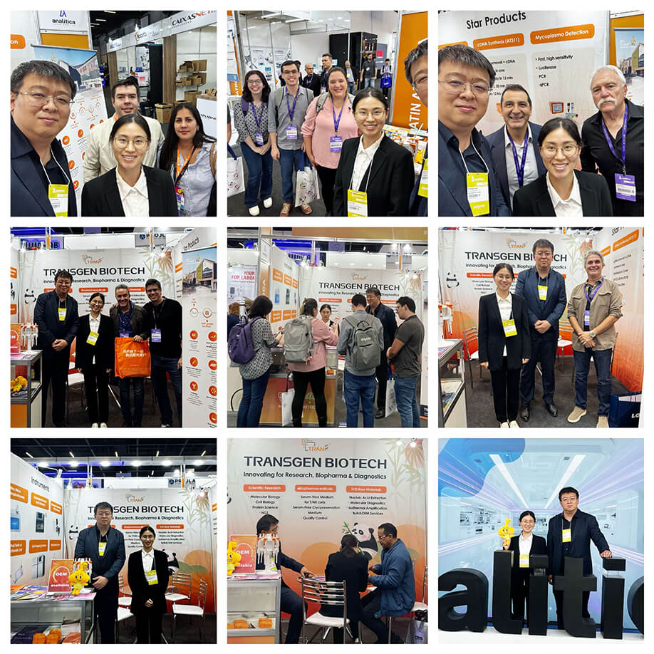 展會(huì)現(xiàn)場(chǎng)